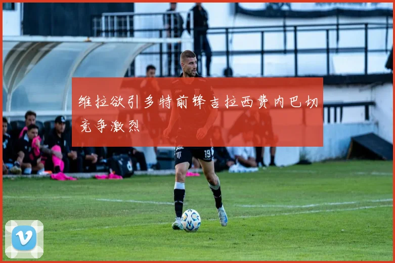 维拉欲引多特前锋吉拉西费内巴切竞争激烈