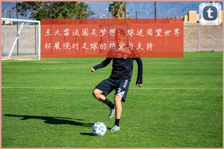 王大雷谈国足梦想：球迷渴望世界杯展现对足球的热爱与支持